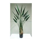 Kunstplant Strelitzia Waaier 170 cm - Buitengewoon de Boet, Nieuw, Verzenden