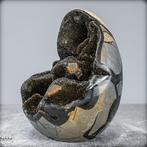 Natuurlijke Septarische Druse Ei- 3770.67 g, Verzamelen