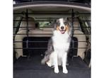 PetSafe Happy Ride Metal Dog Barrier - Hondenrek - Veilig, Verzenden, Nieuw