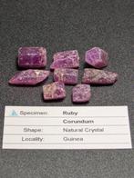 75,80 CT Hoge Kwaliteit - 8x Grote Robijnen, Ruwe, Verzamelen, Mineralen en Fossielen