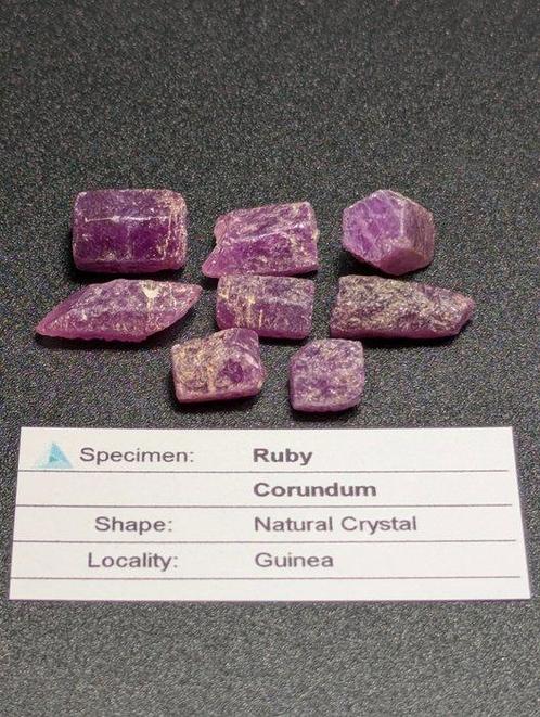 75,80 CT Hoge Kwaliteit - 8x Grote Robijnen, Ruwe, Verzamelen, Mineralen en Fossielen