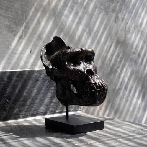 sculptuur, Western Gorilla Skull, cast in the finest, Antiek en Kunst, Kunst | Designobjecten