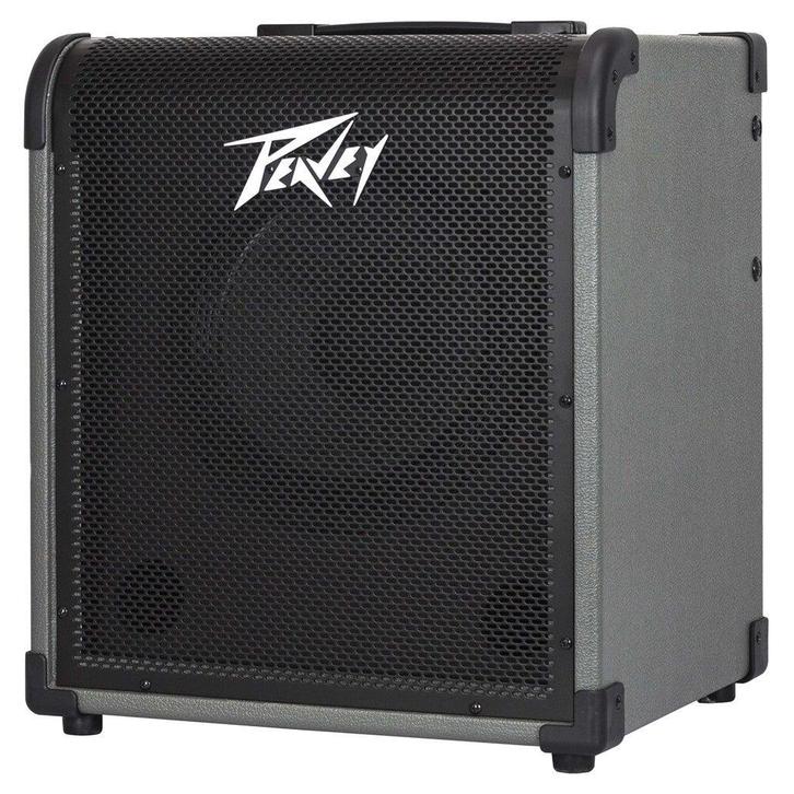 Peavey MAX 100 1 x 10 inch basgitaarversterker, Muziek en Instrumenten, Versterkers | Bas en Gitaar, Verzenden