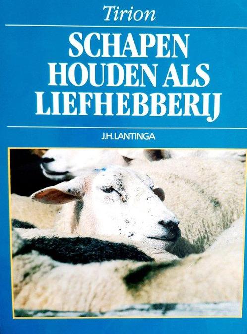 Schapen Houden Als Liefhebberij 9789052100616 J.H. Lantinga, Boeken, Dieren en Huisdieren, Gelezen, Verzenden
