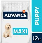 Advance Puppy Protect Maxi 12 KG Tijdelijke aanbieding, Dieren en Toebehoren, Honden | Herdershonden en Veedrijvers, 15 weken tot 1 jaar