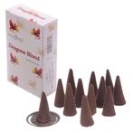 StamFord Drakenbloed - 15 Cones, Verzenden, Nieuw