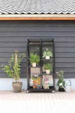 Pikasso Muurkas Verrijdbaar PREMIUM, Tuin en Terras, Nieuw, Kweekkast