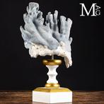 Zeer zeldzame koraalformatie - Blauwe koraaltak op, Antiek en Kunst