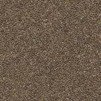 Foniopaddy - Overige zaden - Enkelvoudige vogelzaden, Dieren en Toebehoren, Vogels | Toebehoren, Verzenden, Nieuw