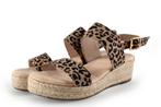 Dolcis Sandalen in maat 38 Overig | 10% extra korting, Kleding | Dames, Schoenen, Dolcis, Overige kleuren, Verzenden, Sandalen of Muiltjes