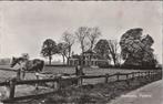 HUMMELO - Pastorie, Verzamelen, Verzenden, Gelopen