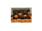 Veiling - Halloween verlichting - pompoen slinger, Hobby en Vrije tijd, Feestartikelen, Nieuw