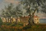 Italiaanse school (XX) - Mediterranean landscape with olive