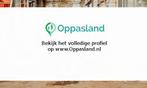 Mirle zoekt een oppas in Steenwijk voor 2 kinderen., Vacatures