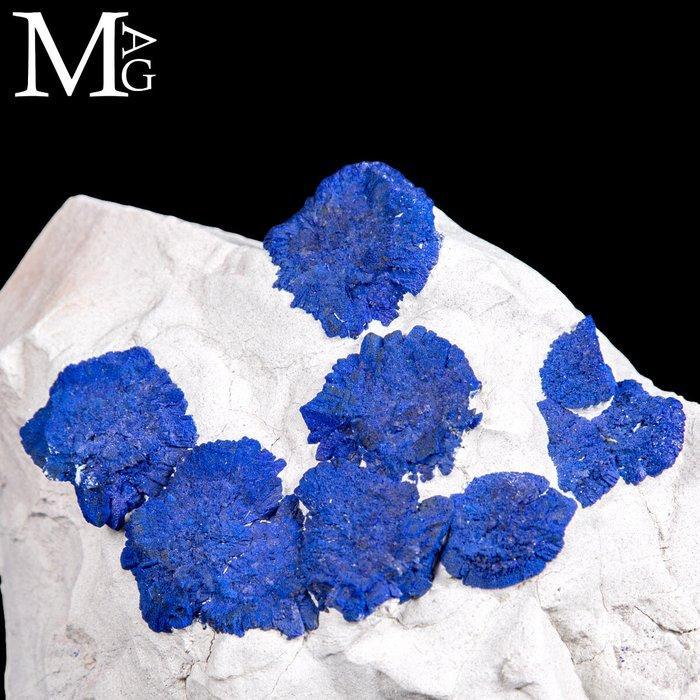 Zeer zeldzame formatie - azuriet zon op kaolienmatrix., Verzamelen, Mineralen en Fossielen