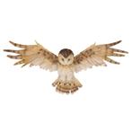 Dierenbeeld wandhanger kerkuil 55 cm - Decoratie vogels, Nieuw, Ophalen of Verzenden