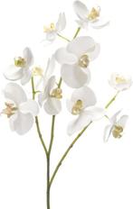 Emerald - Phalaenopsistak - Orchidee - Kunstbloem - 60 cm -, Huis en Inrichting, Woonaccessoires | Overige, Nieuw, Verzenden