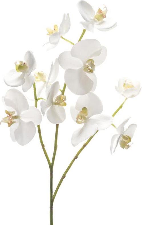 Emerald - Phalaenopsistak - Orchidee - Kunstbloem - 60 cm -, Huis en Inrichting, Woonaccessoires | Overige, Verzenden