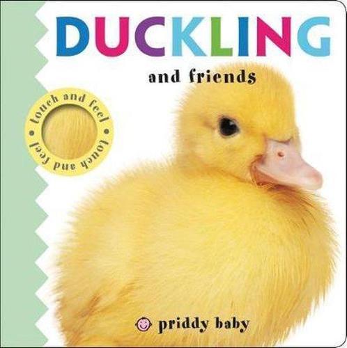 Priddy Baby Duckling & Friend 9781783415465 Roger Priddy, Boeken, Overige Boeken, Gelezen, Verzenden