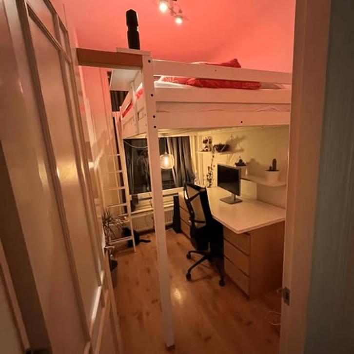 Kamer tijdelijk met dieren welkom nabij Vondelpark, Huizen en Kamers, Kamers te huur, Amsterdam