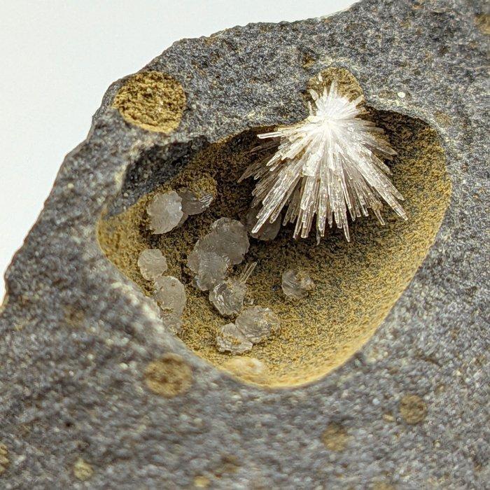 Ster van aragoniet met calciet in geode van basalt, Sardinië, Verzamelen, Mineralen en Fossielen