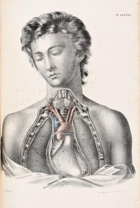 CLOQUET, Jules Germain. - HUGE FOLIO: Anatomie de lHomme,, Antiek en Kunst, Antiek | Boeken en Bijbels