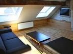 Studio Kapoenstraat in Maastricht, Overige soorten, Limburg