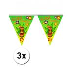 3x Aloha vlaggenlijn hawaii 5 meter - Hawaii versiering, Ophalen of Verzenden, Nieuw