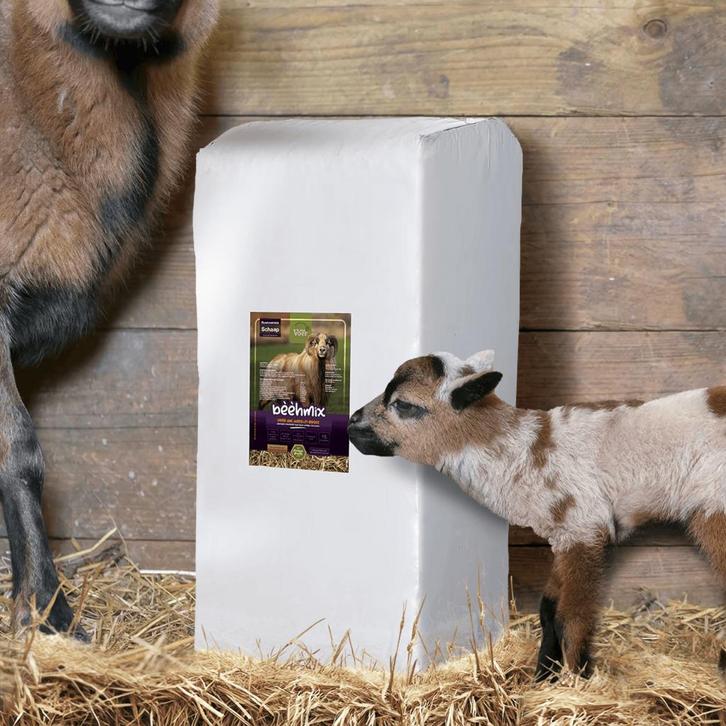 Bèèhmix - Premium ruwvoermix voor schapen - schapenvoer, Dieren en Toebehoren, Schapen, Geiten en Varkens, Schaap