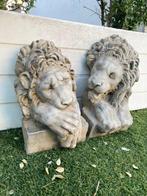 Figuur - Leone koppen van muur - gesmolten areniet