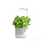 LED Kweeklamp Verdi 10W - 3200K - In hoogte verstelbaar m..., Huis en Inrichting, Ophalen of Verzenden, Nieuw