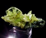 Titaniet (tweeling) op Epidote floating Capelinha, Minas