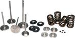 Ferrea Toyota Supra 3.0L B58 Turbo Spring Kit - KT4048, Ophalen of Verzenden, Nieuw