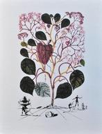 Salvador Dali (1904-1989) - Flordali (le Bégonia)
