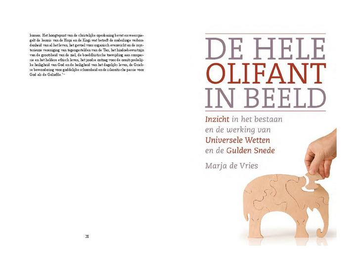 De hele olifant in beeld 9789020284607, Boeken, Studieboeken en Cursussen, Zo goed als nieuw, Verzenden