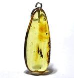 ZELDZAAM Baltische Amber Fossiel Hanger – Vlieg & Mier, Nieuw