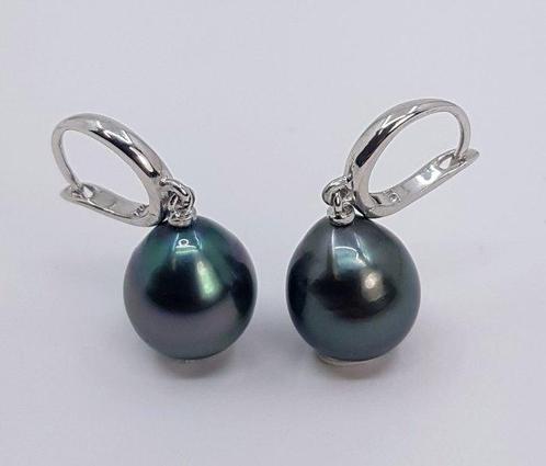 Oorbellen - 14 karaat Witgoud - 10x11mm Tahitiaanse Parel, Sieraden, Tassen en Uiterlijk, Oorbellen