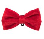 Luxe honden- of kattenstrik met wit boord en zwarte strik, Dieren en Toebehoren, Verzenden, Nieuw