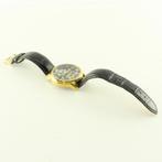 Executive EX-1012-04 Herenhorloge Automaat, Sieraden, Tassen en Uiterlijk, Horloges | Heren, Ophalen of Verzenden, Nieuw