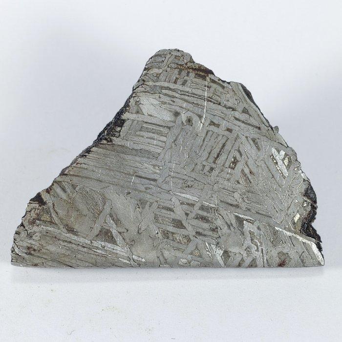 Aletai IJzer meteoriet - 52.9 g, Verzamelen, Mineralen en Fossielen