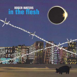 cd - Roger Waters - In The Flesh, Cd's en Dvd's, Cd's | Overige Cd's, Zo goed als nieuw, Verzenden
