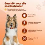 2dekans | Vulpes Goods® Anti Blafband Pro met, Dieren en Toebehoren, Ophalen of Verzenden, Zo goed als nieuw