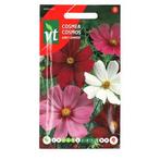 Bloemzaden Cosmea | VT, Tuin en Terras, Bloembollen en Zaden, Verzenden
