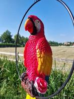 Beeld, life size colorful parrot in hoop - 68 cm - polyresin
