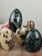 Verzameling Septarie & Kambaba Jaspis (fossiele algen), Verzamelen, Mineralen en Fossielen