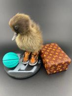 Eend Taxidermie volledige montage - Anas Platyrhynchos - 130