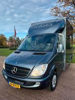 Prachtige Mercedes paardenwagen, opbouw 2017!, Dieren en Toebehoren, Ophalen, Zo goed als nieuw, Polyester, 2-paards trailer
