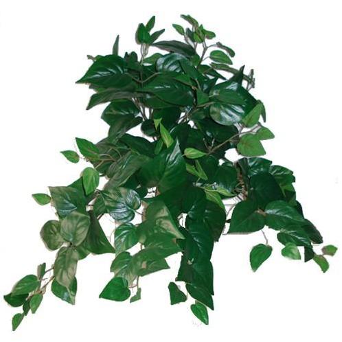 Hanger vuller 55cm. PHILO BUSH GREEN Groen e hangplanten, Huis en Inrichting, Woonaccessoires | Kunstplanten en Kunstbloemen, Nieuw