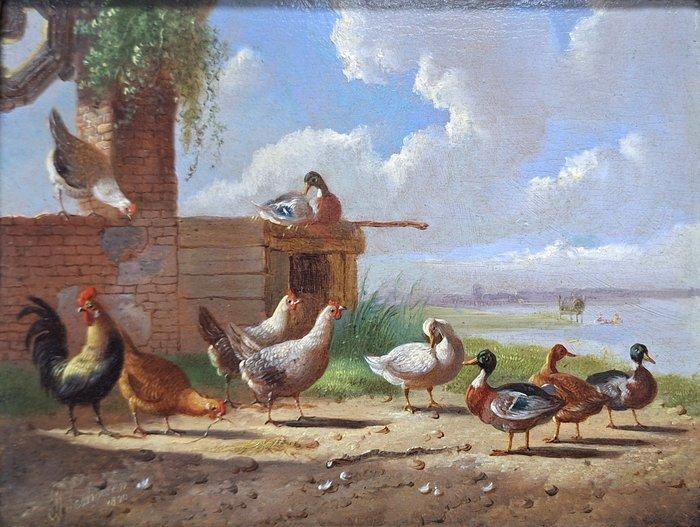 Albertus Verhoesen (1806-1881) - Pluimvee in landschap, Antiek en Kunst, Kunst | Schilderijen | Klassiek