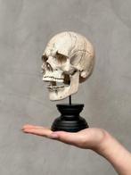 Snijwerk, NO RESERVE PRICE - Stunning Wooden Human Skull